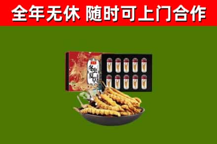 浑源县回收冬虫夏草价格